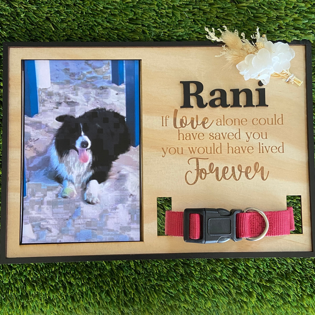 Pet Memorial Photo Frame & Collar Holder